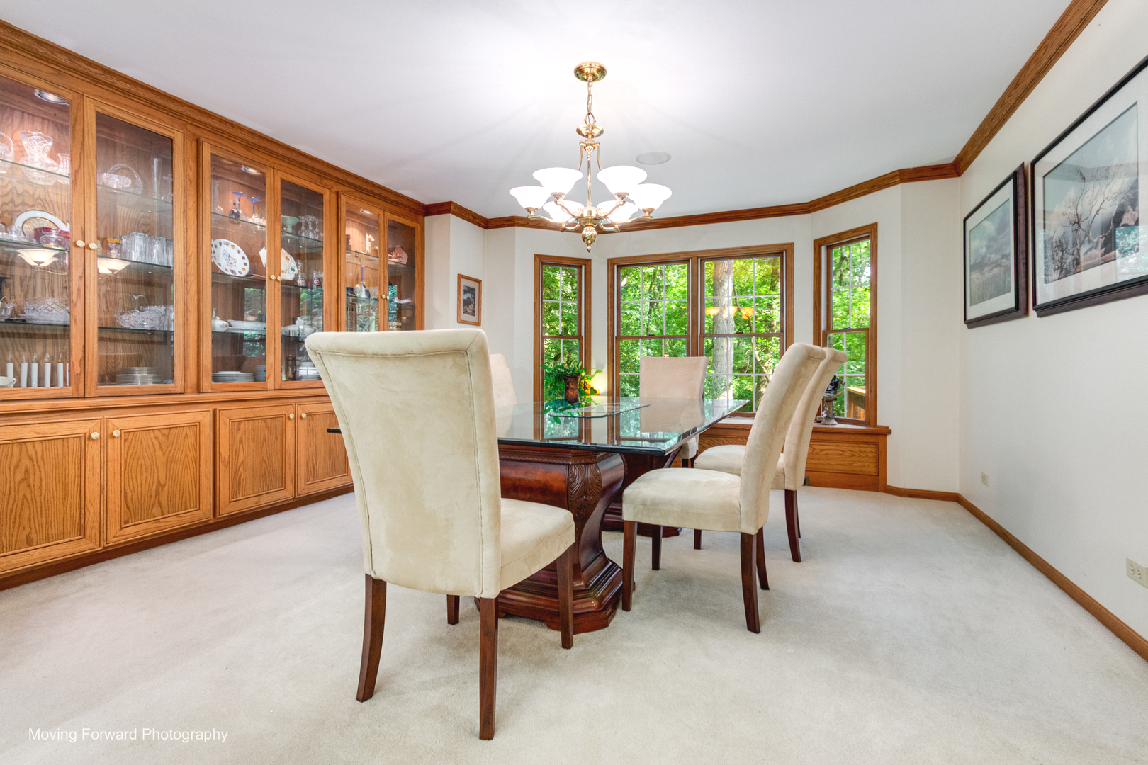 446 Roslyn Road East Dundee, IL 60118 - Photo 9 of 35