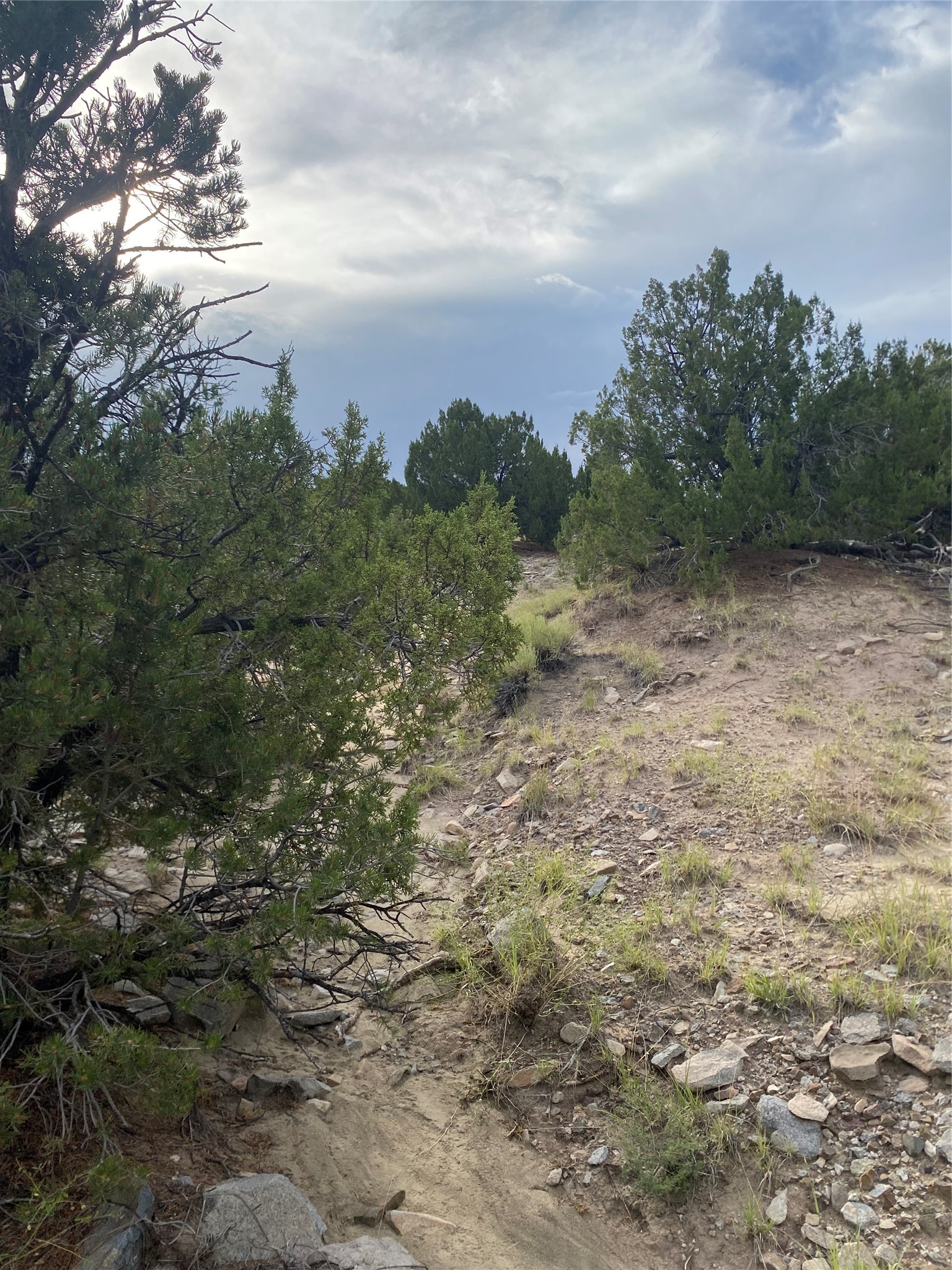 44 A Gold Mine Road, Unit A Cerrillos, NM 87010 - Photo 19 of 41