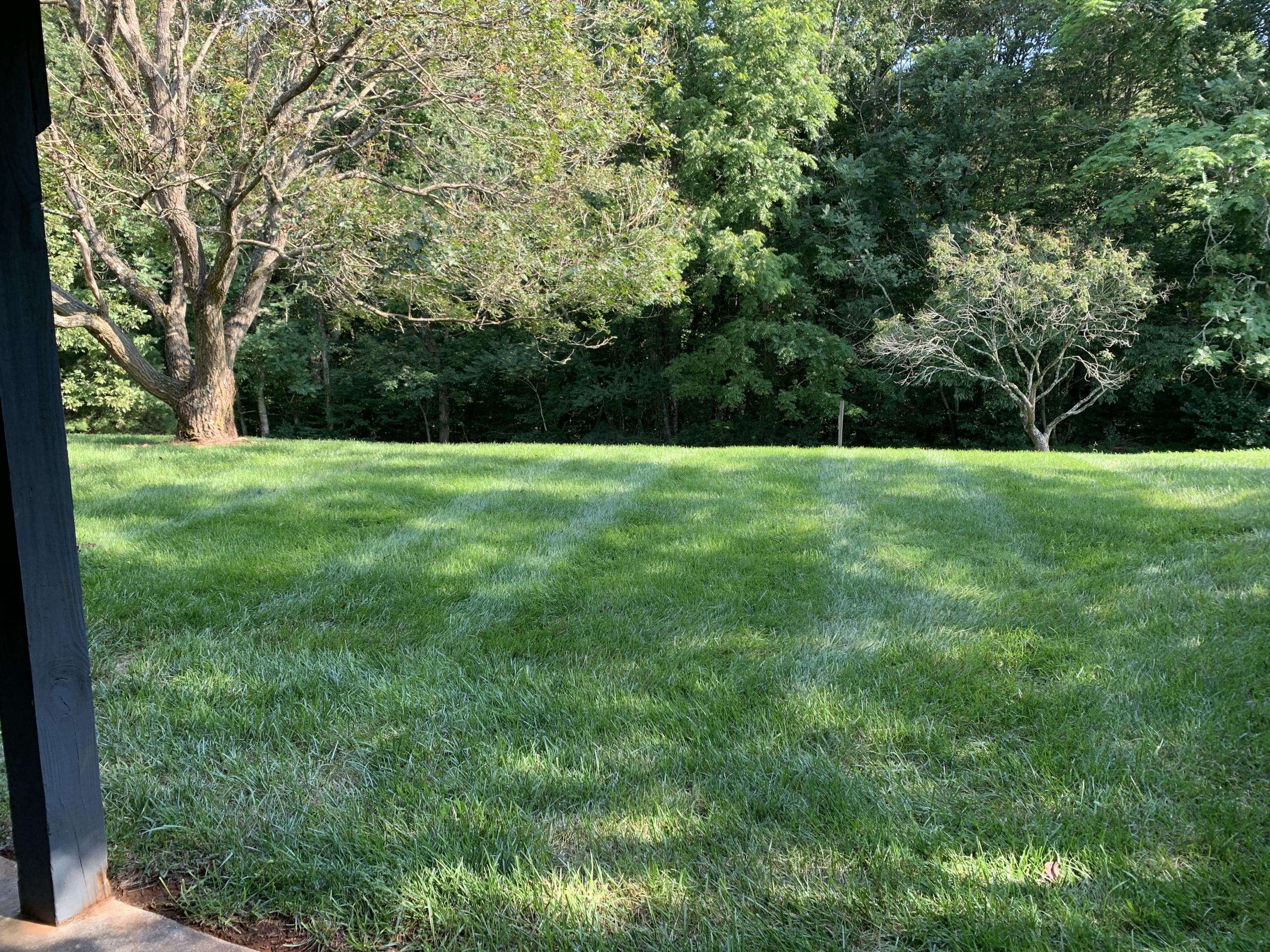 338 Teel Brooke Road Rocky Mount, VA 24151 - Photo 54 of 55 53 Back Yard (2)