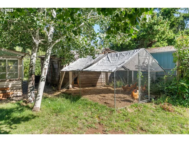 a view of backyard and trees