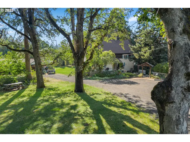 a view of backyard with a garden and entertaining space