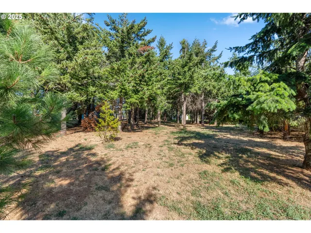 a view of a yard with trees