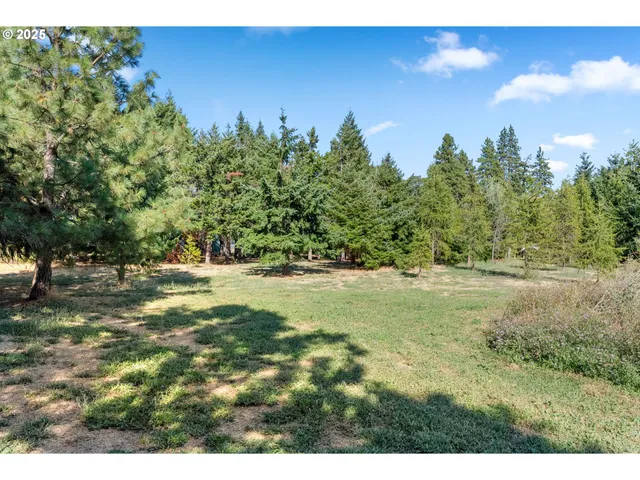 a view of a field with a tree