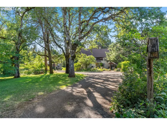 a view of backyard with green space