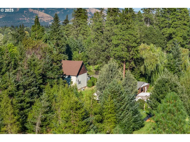 a view of a house with a yard and garden