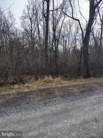 a view of dirt yard with a trees