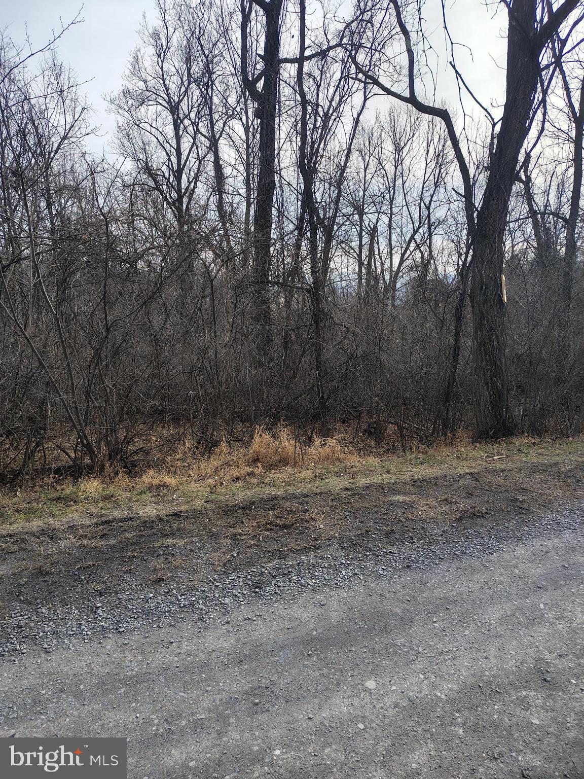 a view of dirt yard with a trees