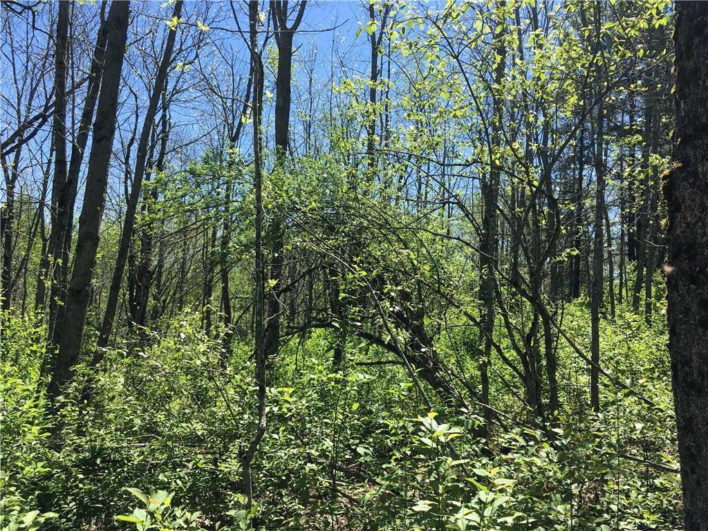 Lot 13 Richardson Road Orrington, ME 04474 - Photo 13 of 33 Large flat area, perfect for a cabin...