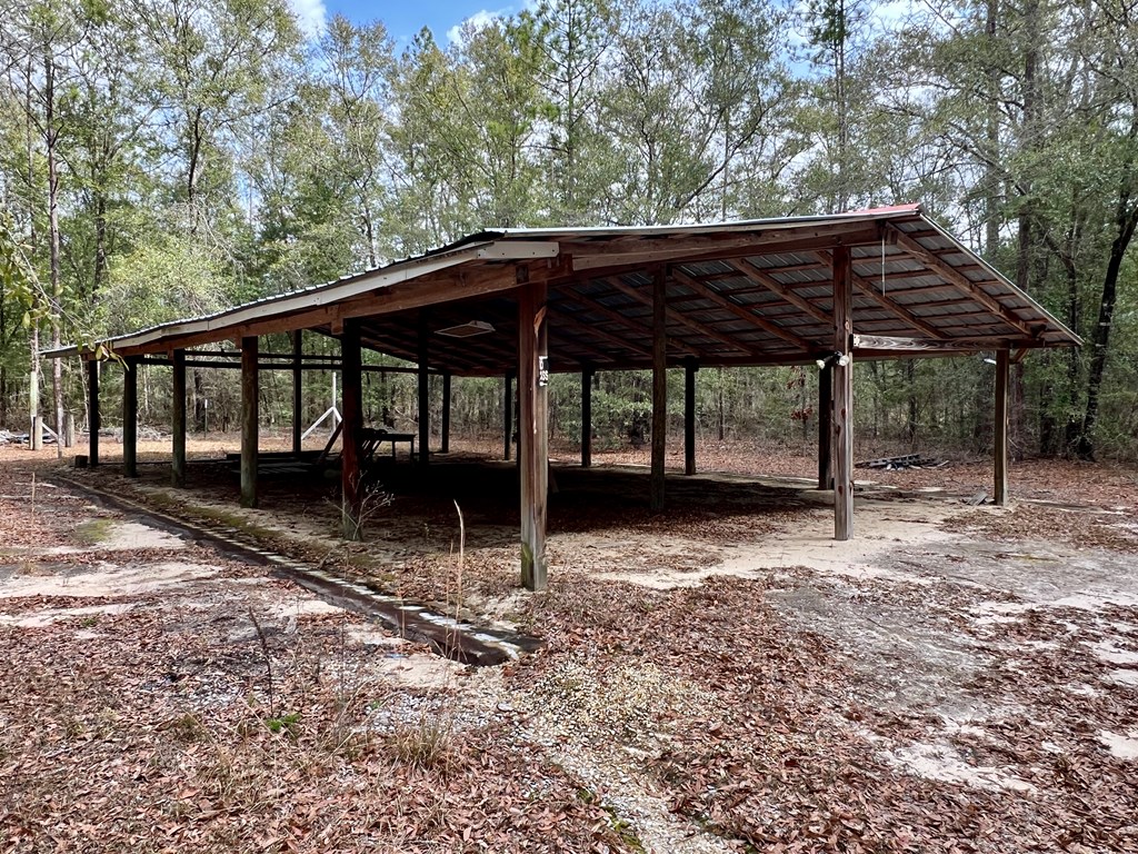 16.8-ac Mound Road Black, AL 36314 - Photo 2 of 17