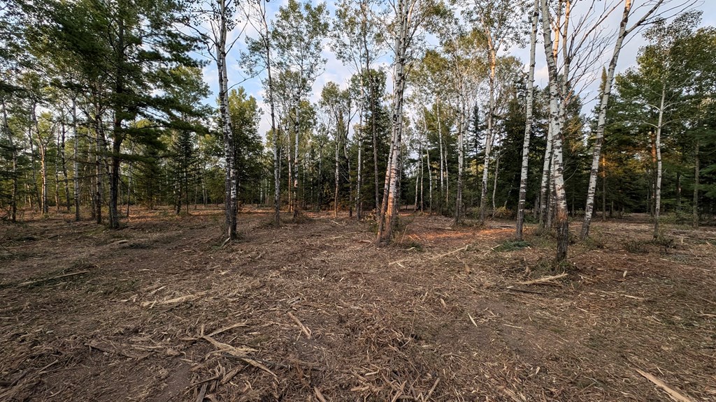 Lot 6 Wandering Down Road Fish Creek, WI 54212 - Photo 12 of 21