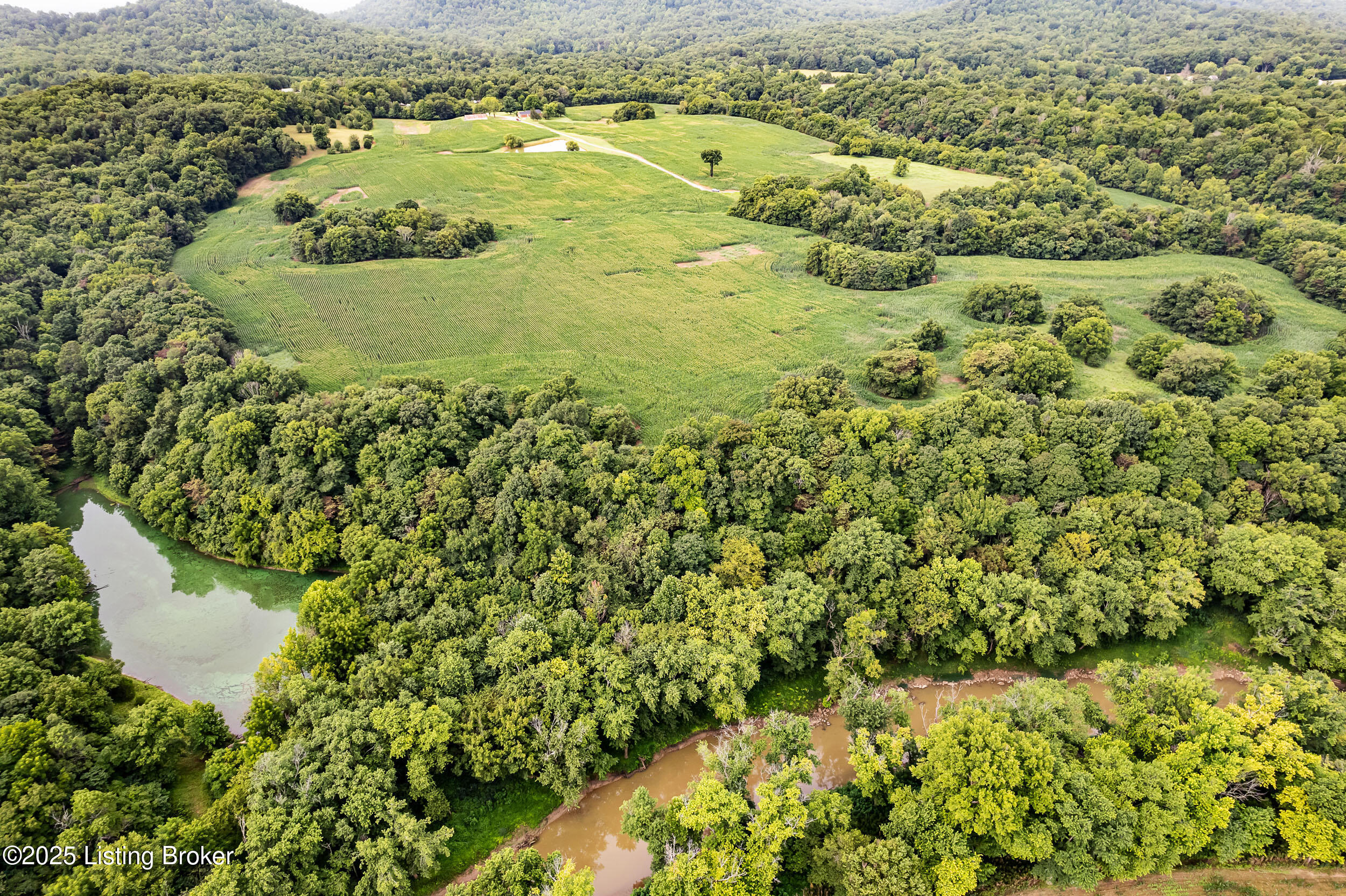 3530 Nat Rogers Road Boston, KY 40107 - Photo 42 of 43 Lake tract