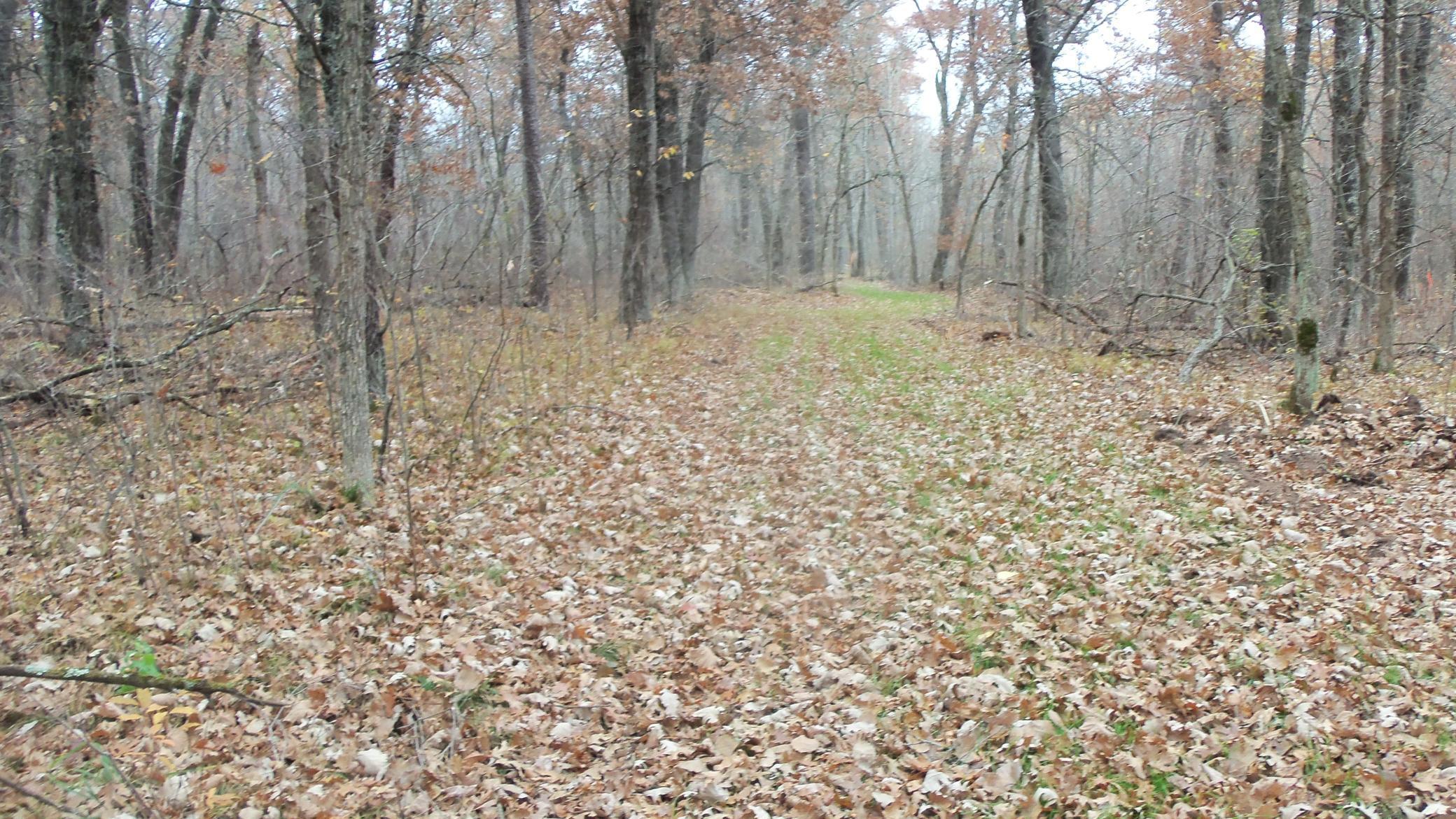 Lot 4 East River Road Grantsburg, WI 54840 - Photo 16 of 17