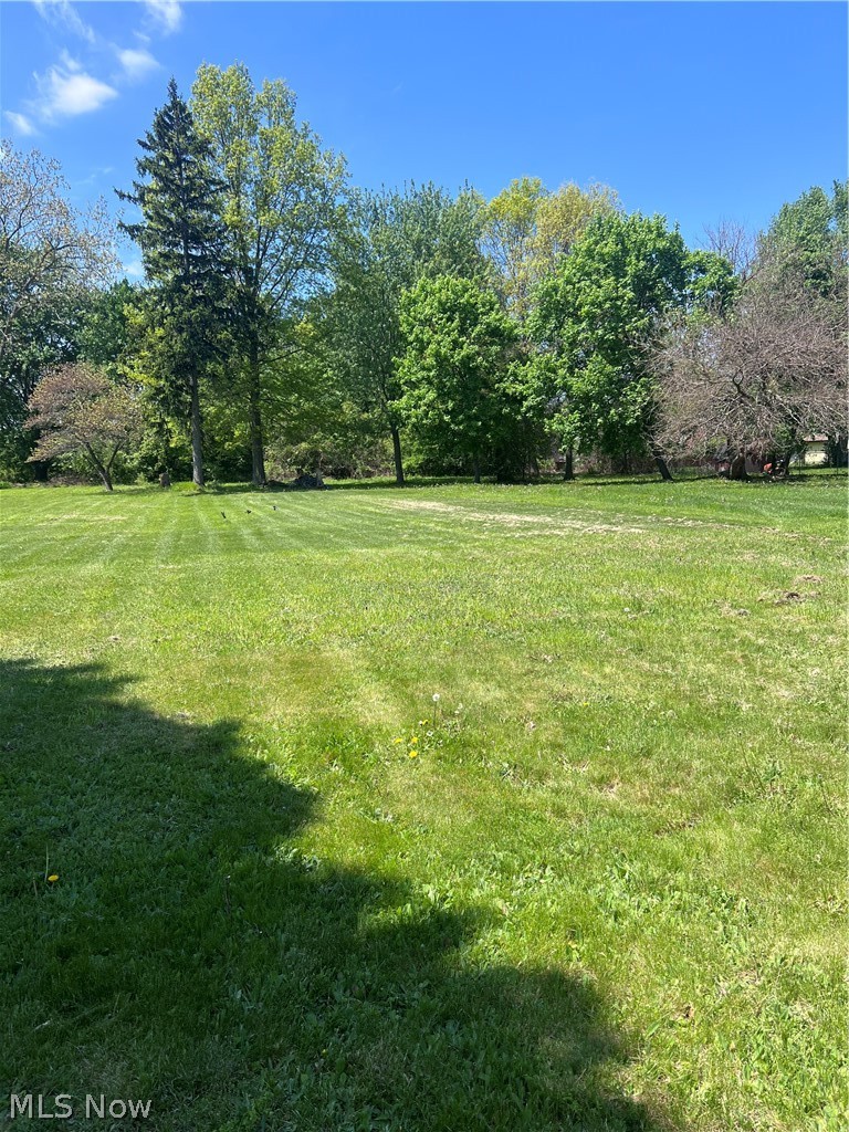 345 Park Road Painesville, OH 44077 - Photo 3 of 4