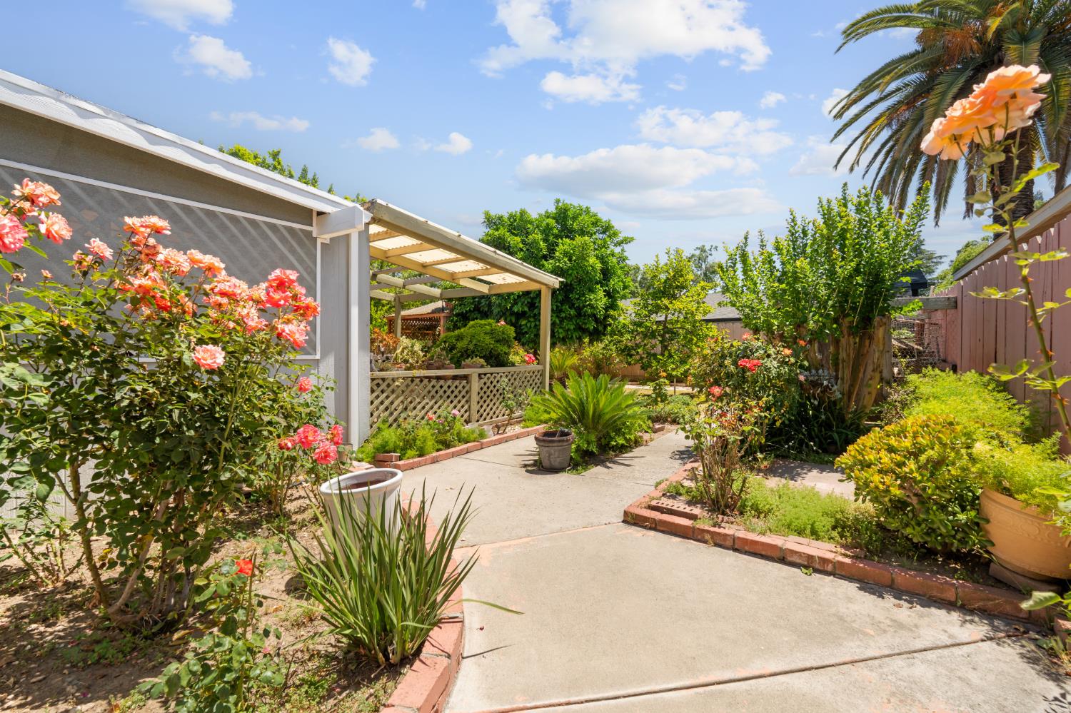 3356 Ocotillo Way Modesto, CA 95355 - Photo 26 of 33 a potted plant sitting in front of a house