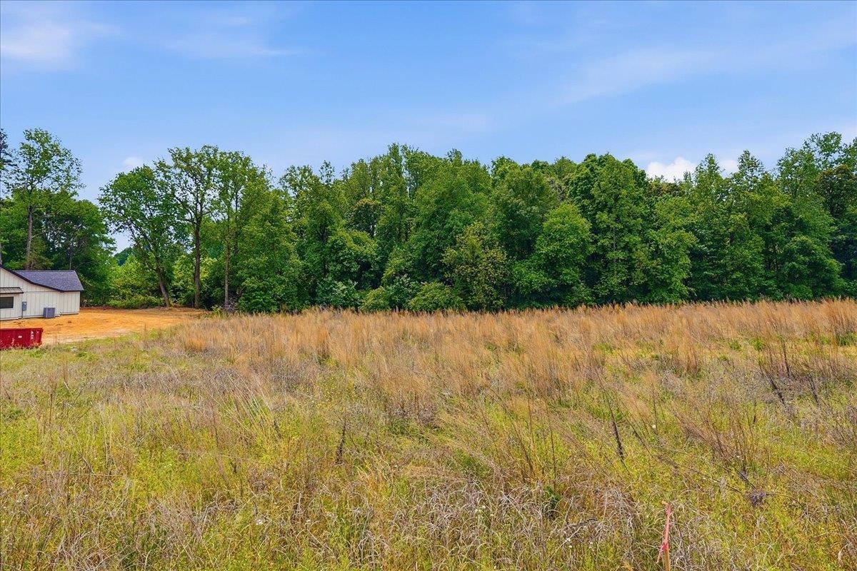 Lot 3 Parris Farm Road Chesnee, SC 29323 - Photo 18 of 26