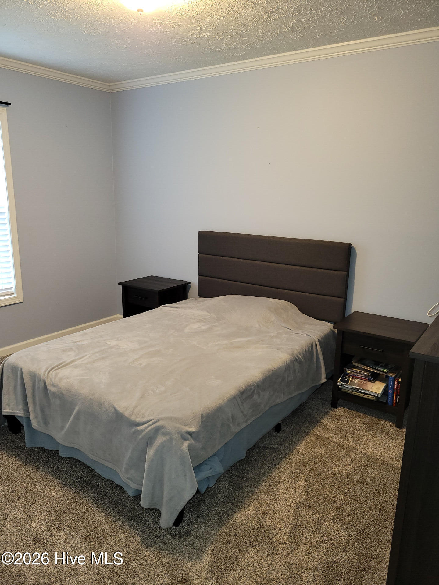 3729 Bryan Hardy Road La Grange, NC 28551 - Photo 20 of 29 3729BryanHardyRoad_68475_20