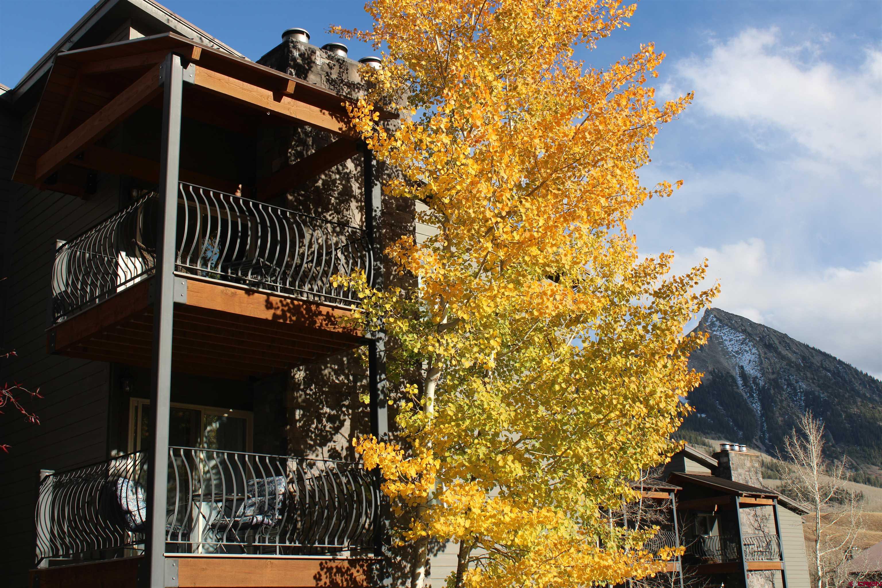 651 Gothic Road, Unit 412 Crested Butte, CO 81225 - Photo 38 of 41