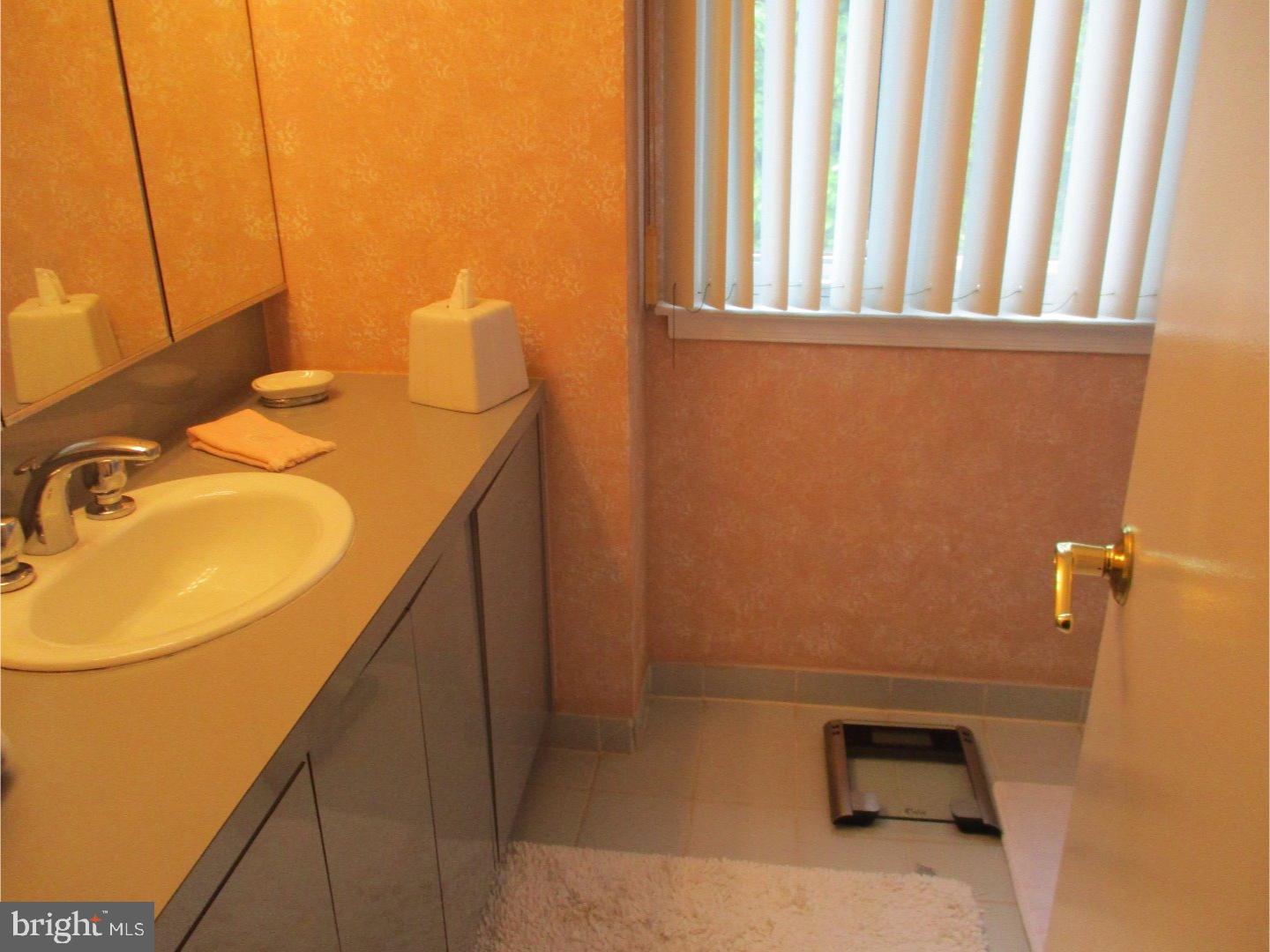 134 Tulip Road Holland, PA 18966 - Photo 18 of 25 Master Bathroom