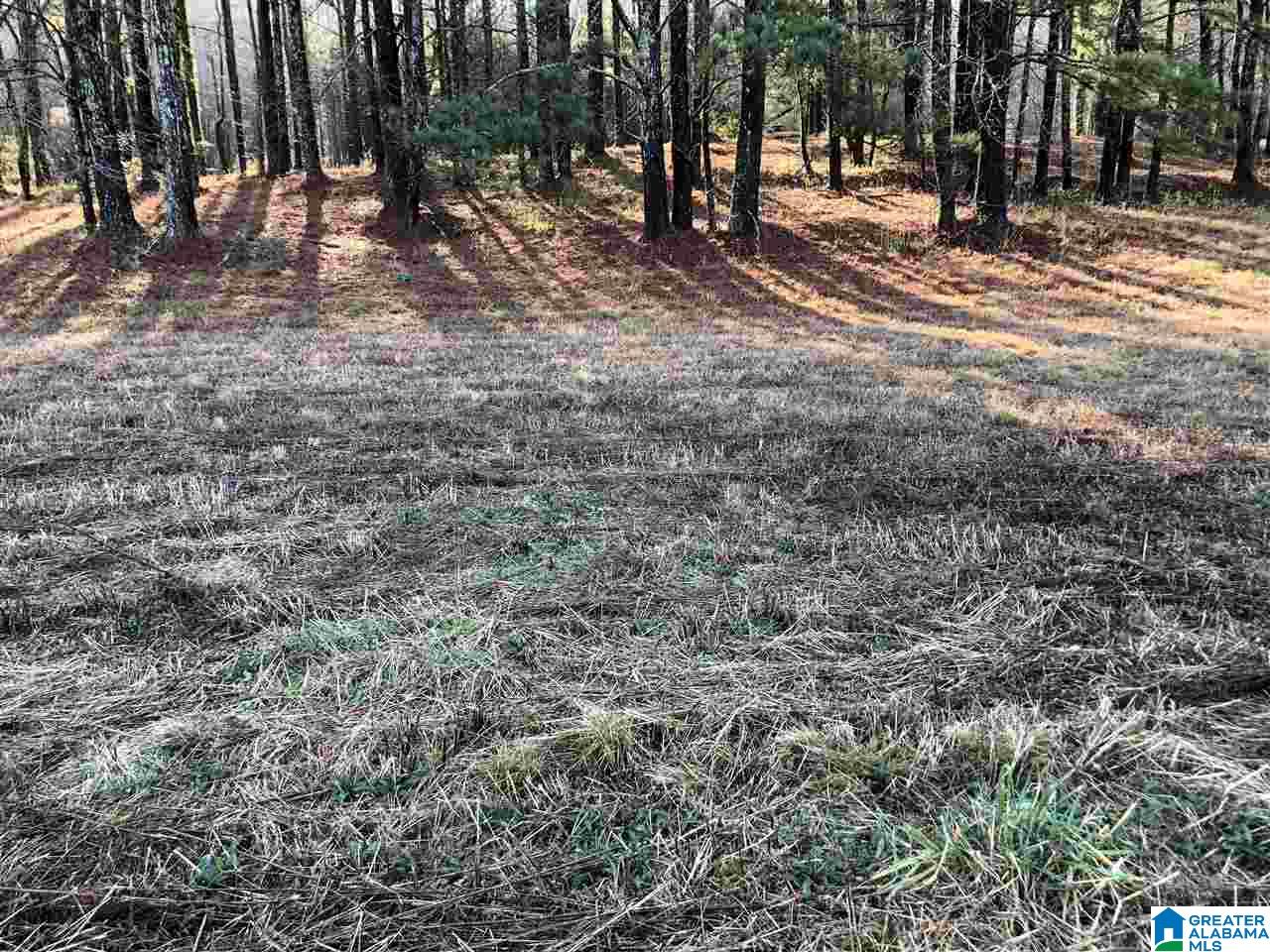 7950 Happy Hollow Road, Unit 2 Trussville, AL 35173 - Photo 2 of 12
