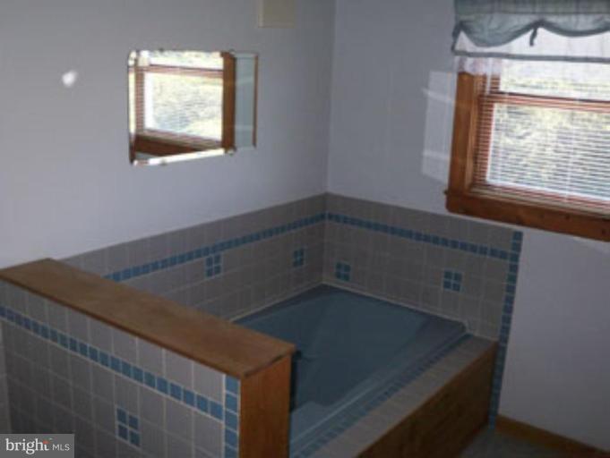 1100 Pine Grove Road Berkeley Springs, WV 25411 - Photo 20 of 20 Bath #1