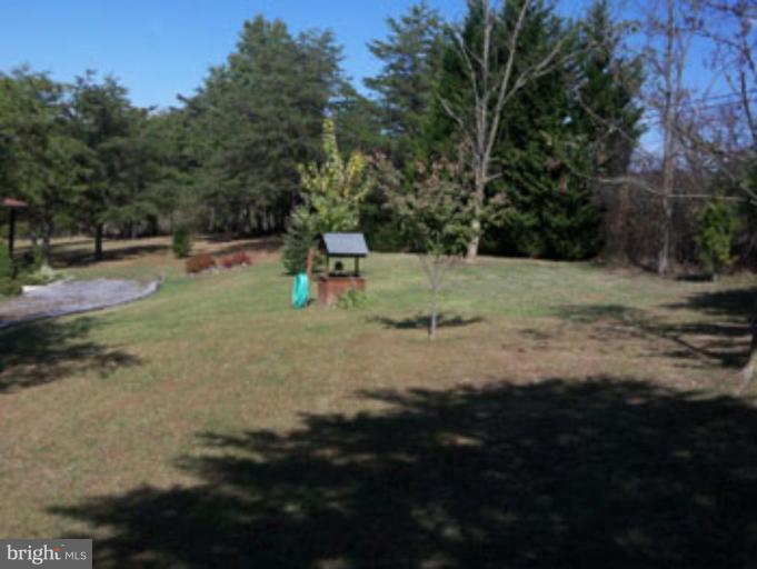 1100 Pine Grove Road Berkeley Springs, WV 25411 - Photo 7 of 20 Back yard