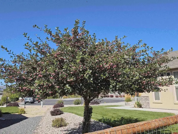 a park view with a bench