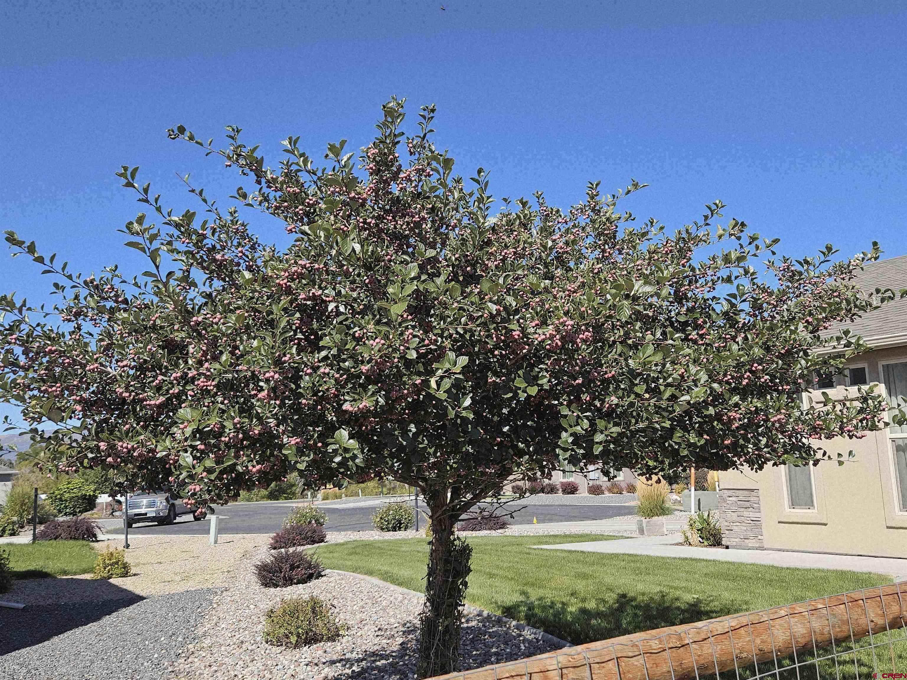 335 Southeast Cobblestone Court Cedaredge, CO 81413 - Photo 13 of 21