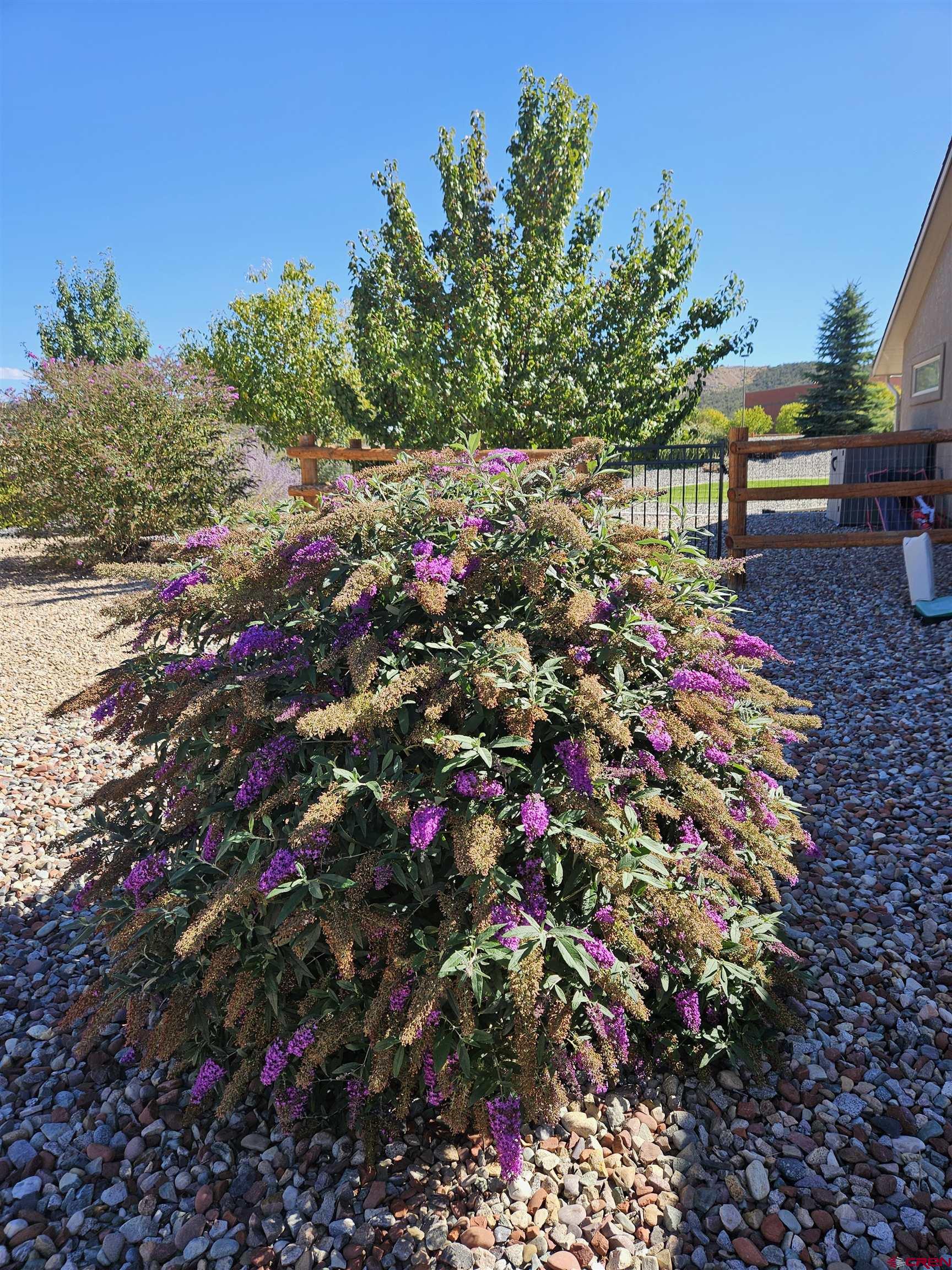 335 Southeast Cobblestone Court Cedaredge, CO 81413 - Photo 14 of 21