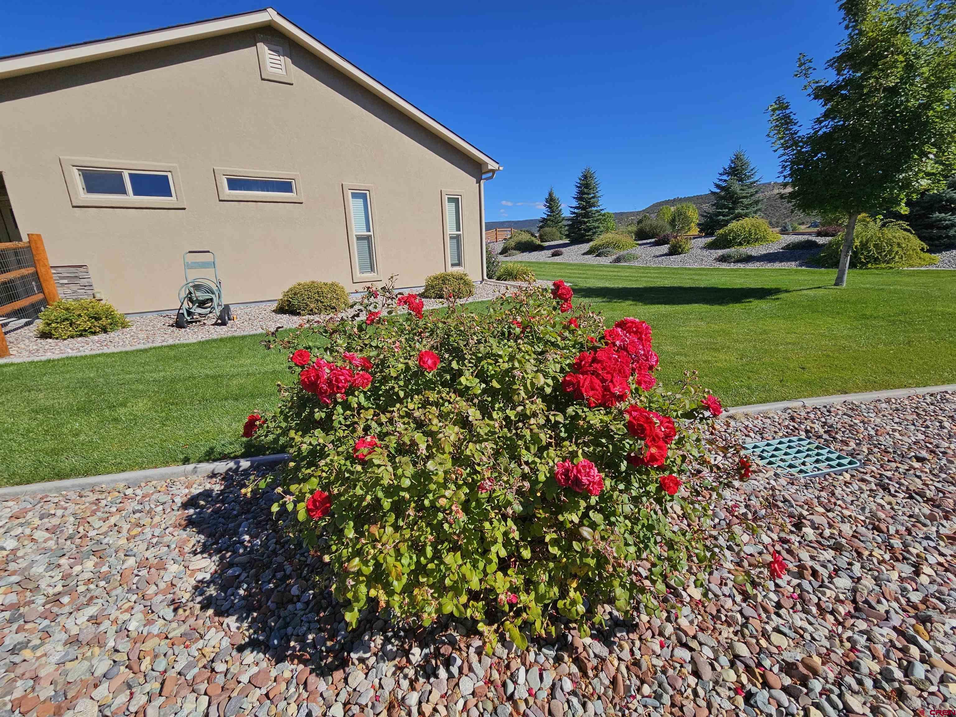 335 Southeast Cobblestone Court Cedaredge, CO 81413 - Photo 10 of 21