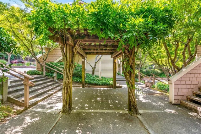 a view of a street with a tree