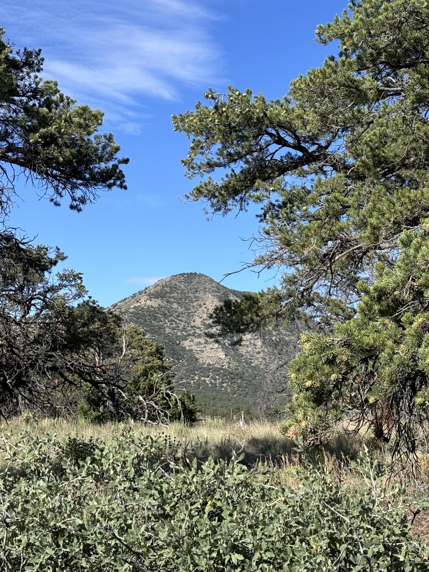 34 Lookout Circle Datil, NM 87821 - Photo 3 of 12 Gallery Image 3