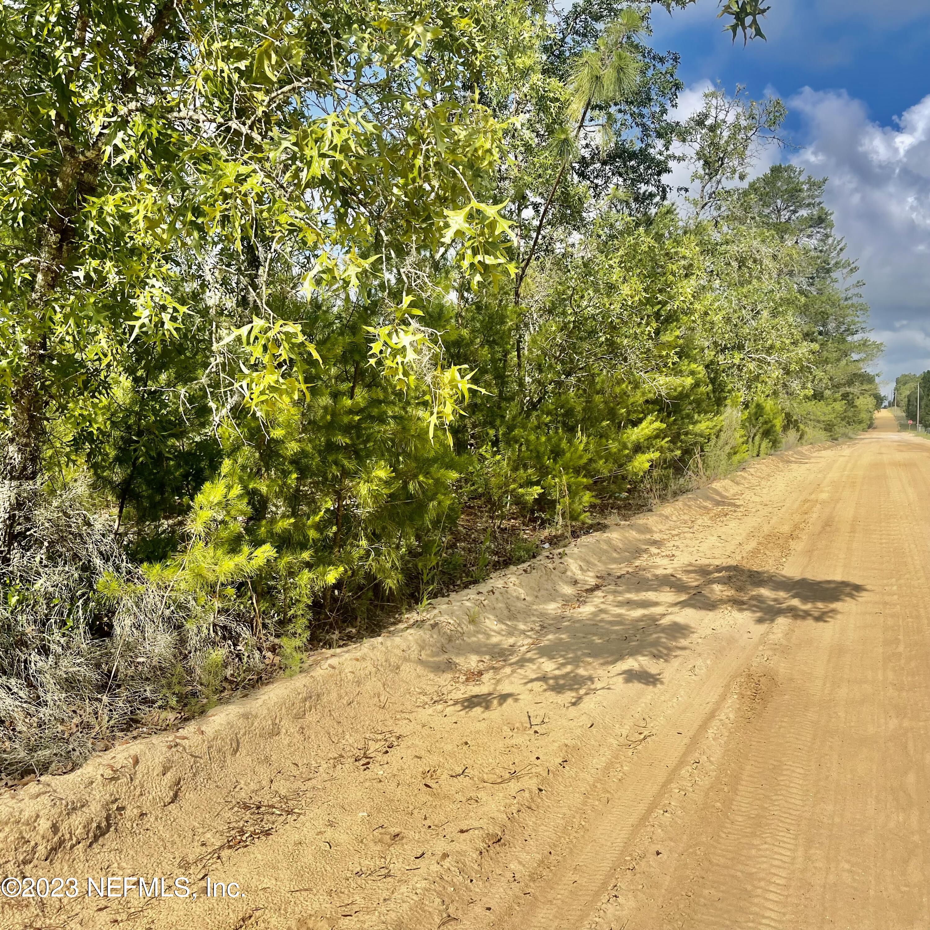 a view of a yard with a trees