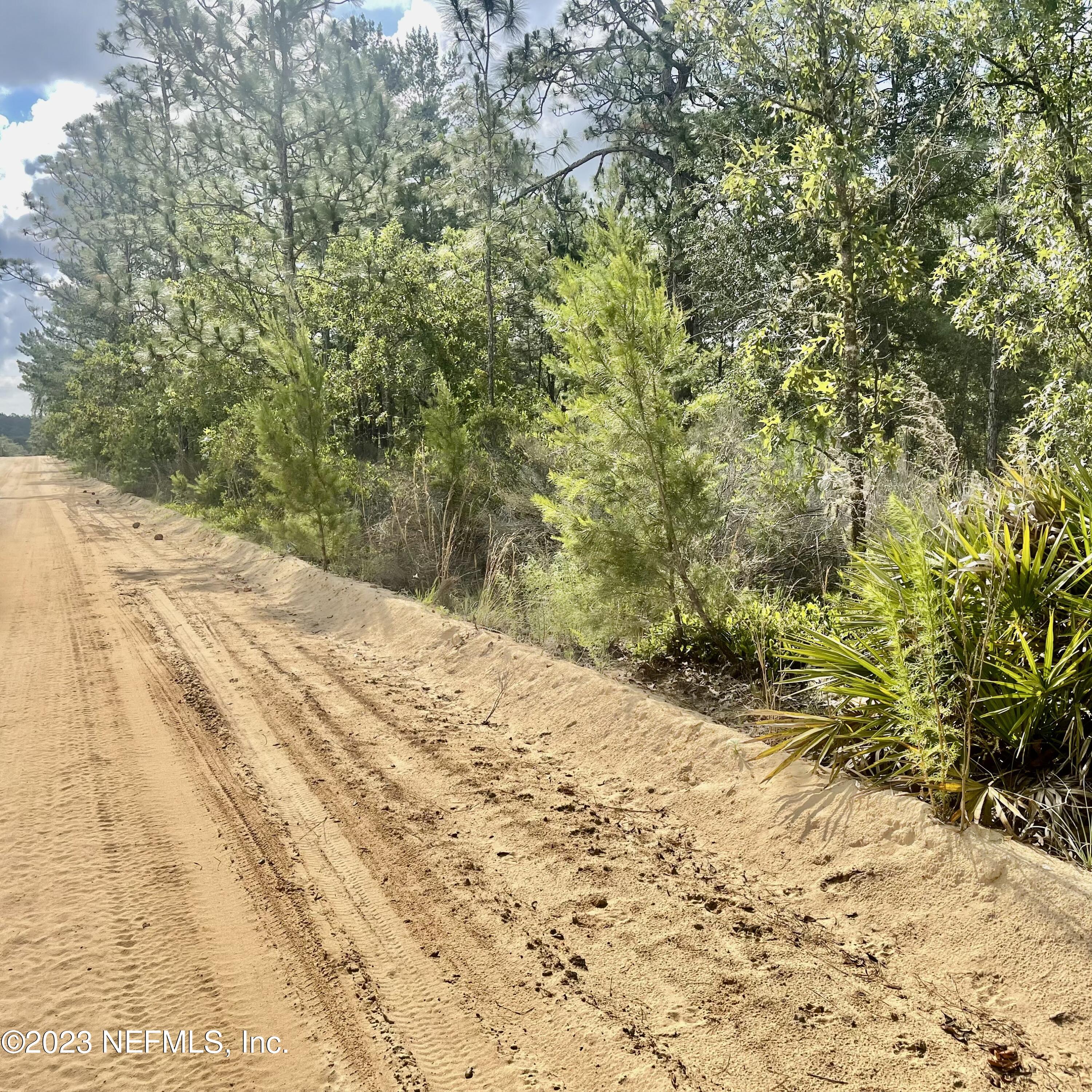 0 Rose Trail Interlachen, FL 32148 - Photo 2 of 4 a view of a backyard of a house