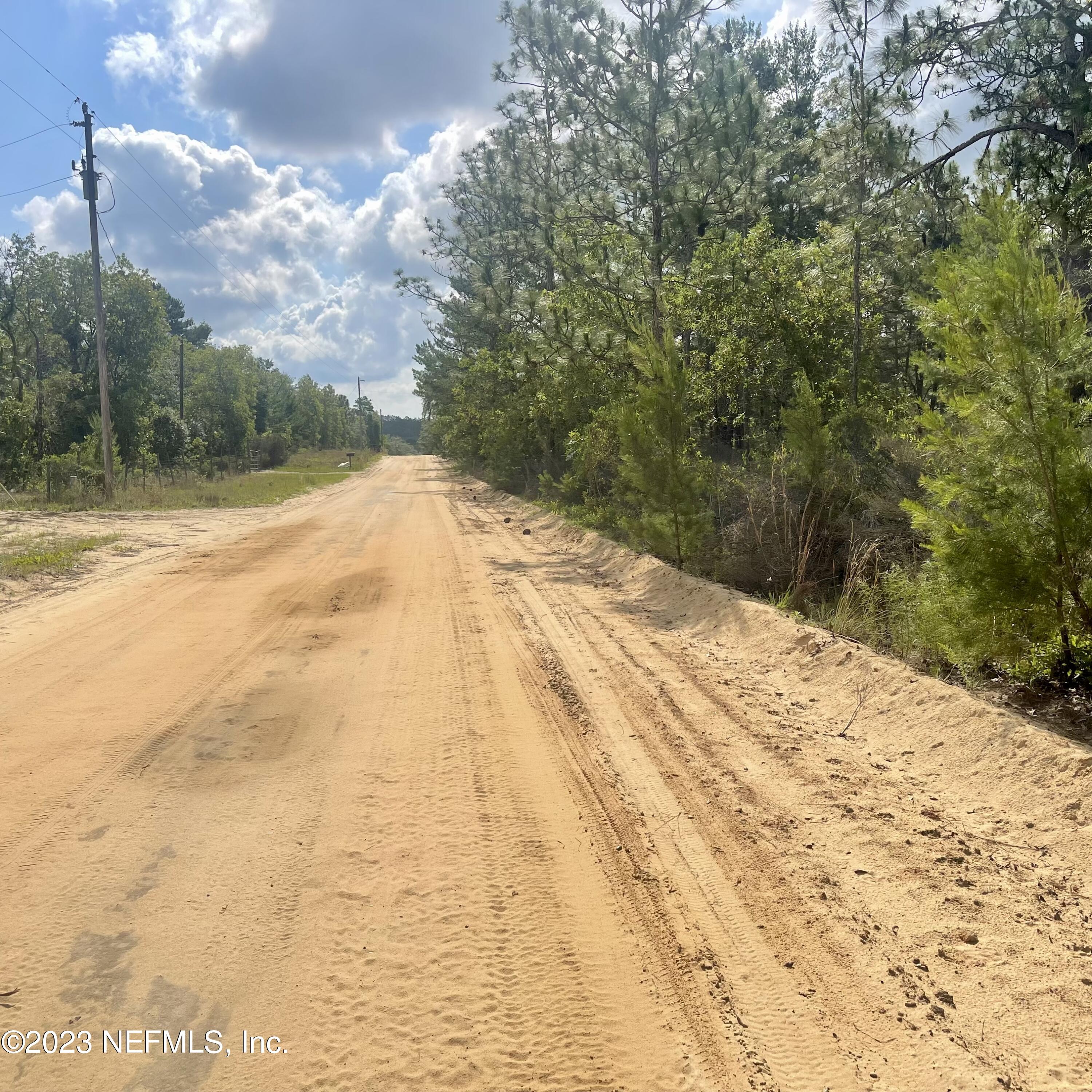 0 Rose Trail Interlachen, FL 32148 - Photo 3 of 4 a view of a backyard of the house