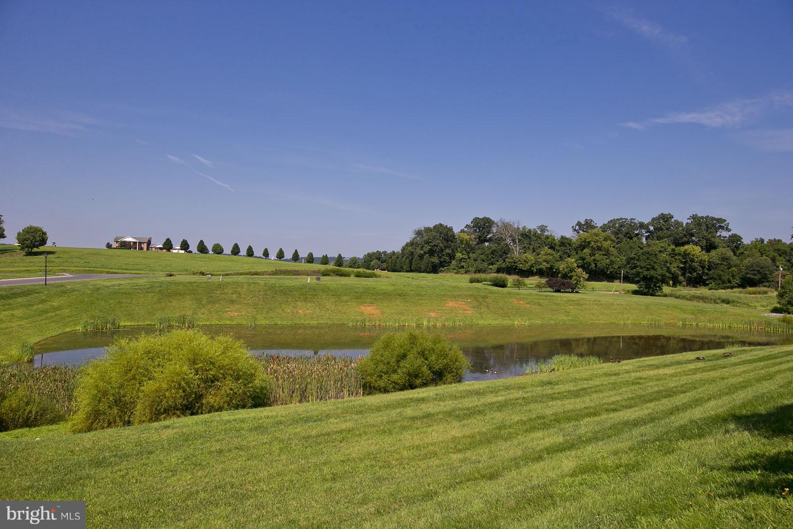 23 Ran Rue Drive Martinsburg, WV 25403 - Photo 29 of 29 View from back patio