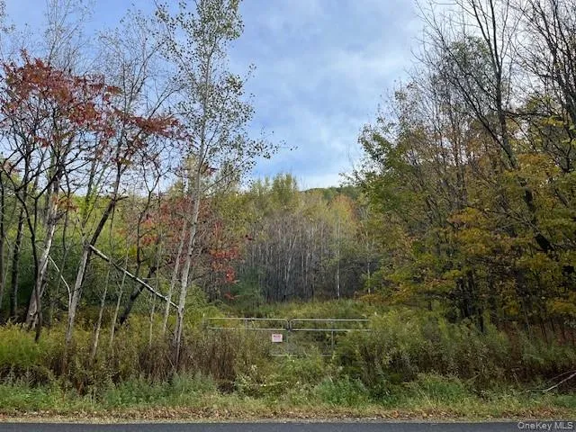 $115,000 | Ferndale Loomis Road Northeast, Liberty, NY 12754