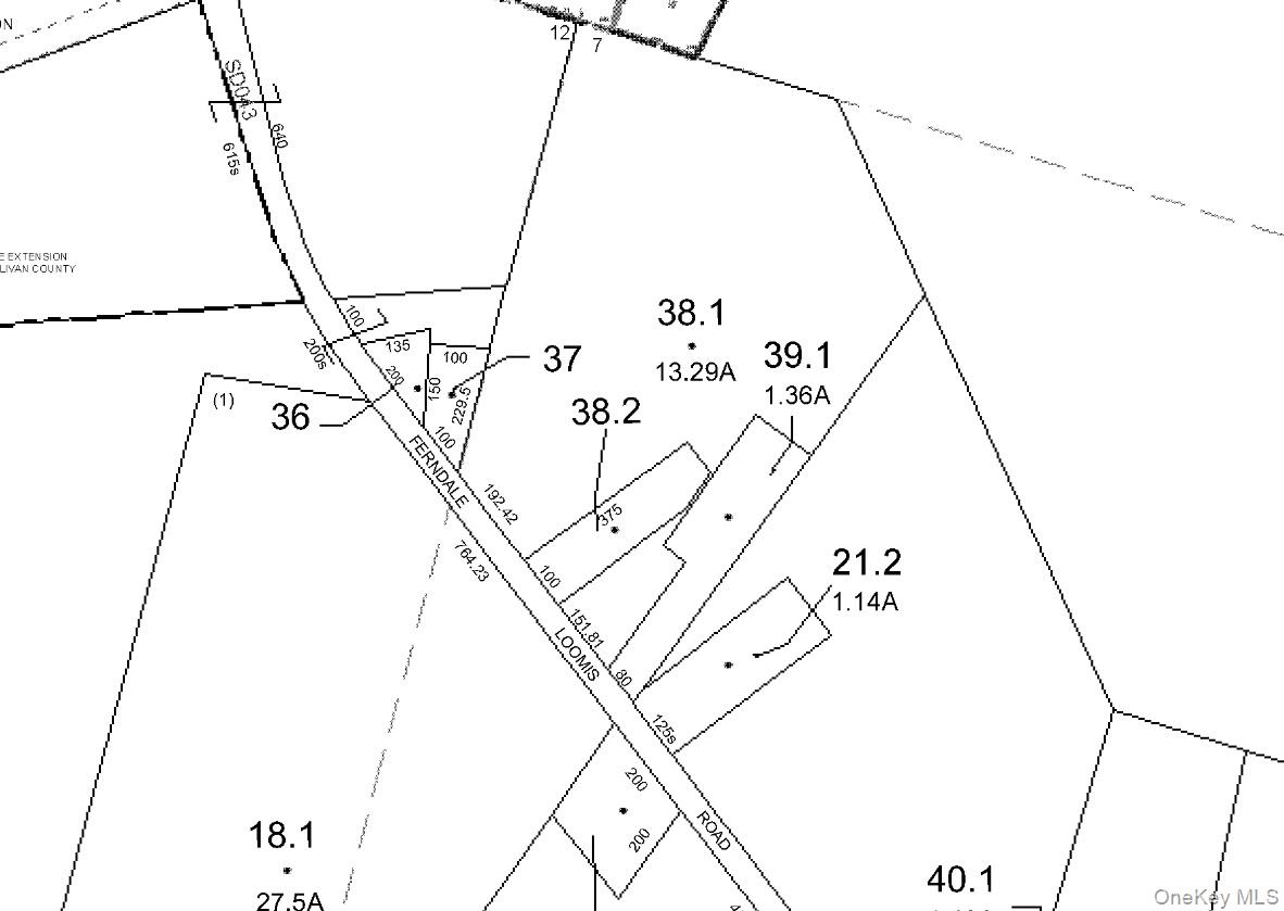 Ferndale Loomis Road Northeast Liberty, NY 12754 - Photo 12 of 12 Map / location