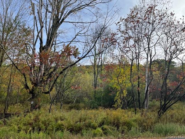Ferndale Loomis Road Northeast Liberty, NY 12754 - Photo 2 of 12 View of wooded area