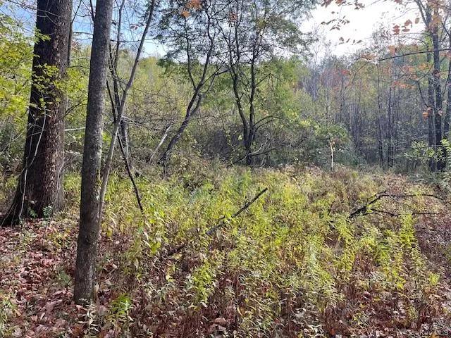 $115,000 | Ferndale Loomis Road Northeast, Liberty, NY 12754