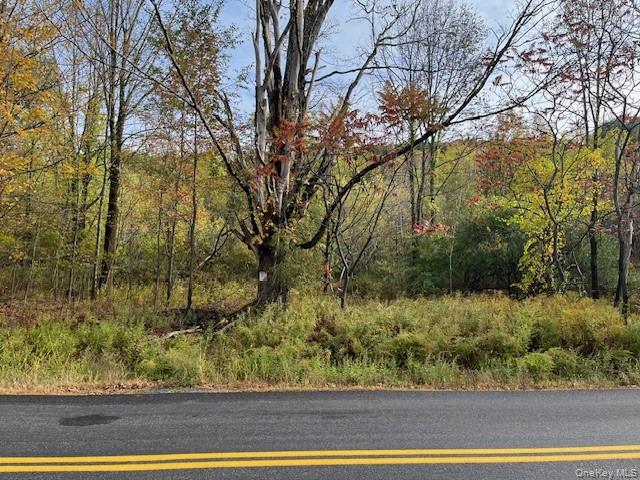 Ferndale Loomis Road Northeast Liberty, NY 12754 - Photo 5 of 12 View of asphalt street