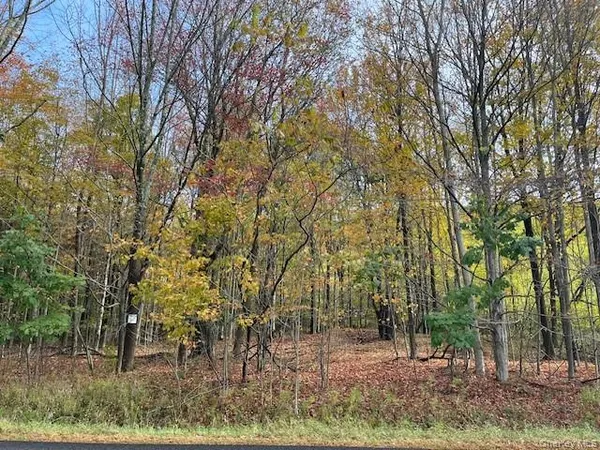 $115,000 | Ferndale Loomis Road Northeast, Liberty, NY 12754