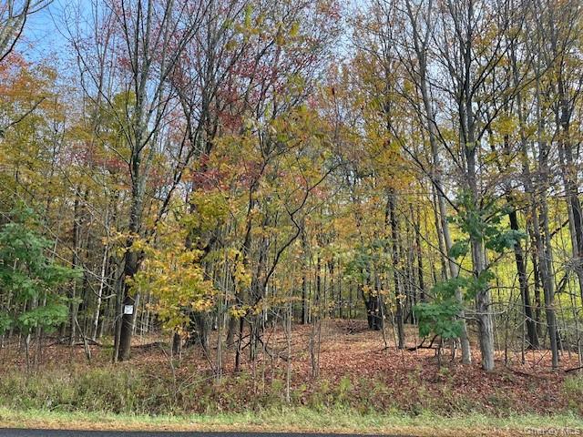 Ferndale Loomis Road Northeast Liberty, NY 12754 - Photo 7 of 12 View of nature