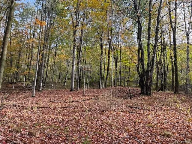 $115,000 | Ferndale Loomis Road Northeast, Liberty, NY 12754