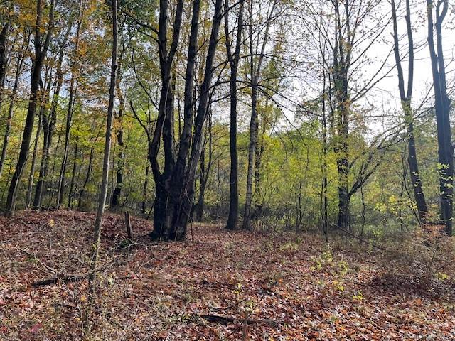 Ferndale Loomis Road Northeast Liberty, NY 12754 - Photo 9 of 12 View of woods
