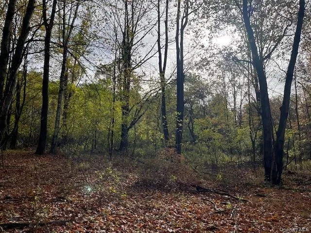 $115,000 | Ferndale Loomis Road Northeast, Liberty, NY 12754