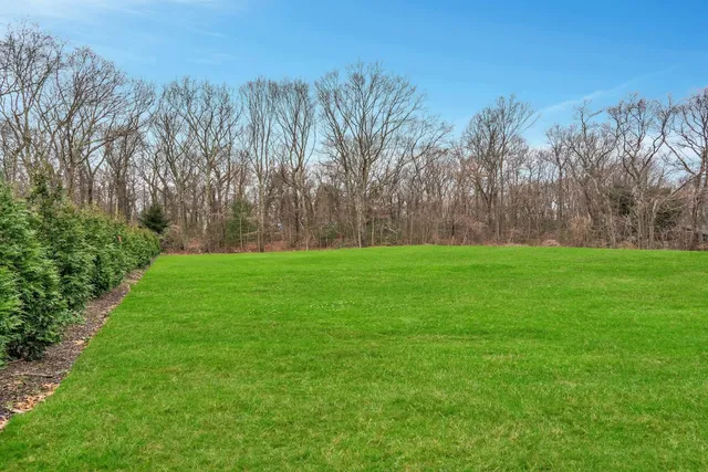 a view of grassy field with trees