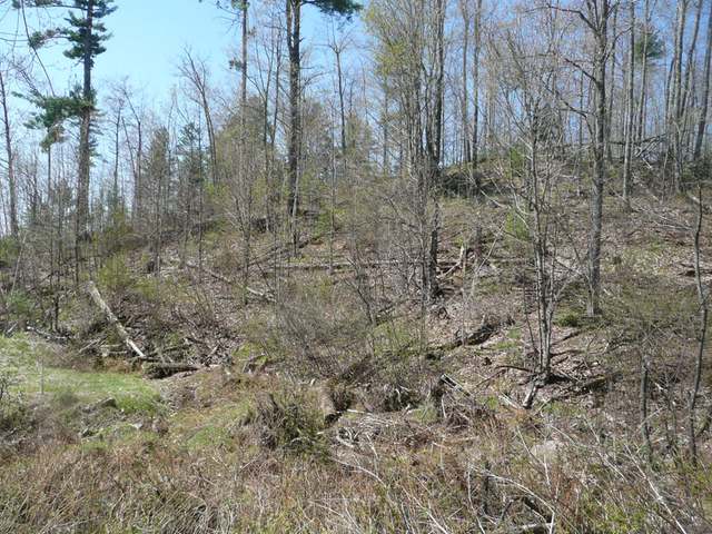 Lot 4 Scenic Ridge Trail Minocqua, WI 54548 - Photo 3 of 4 Gallery Image 3