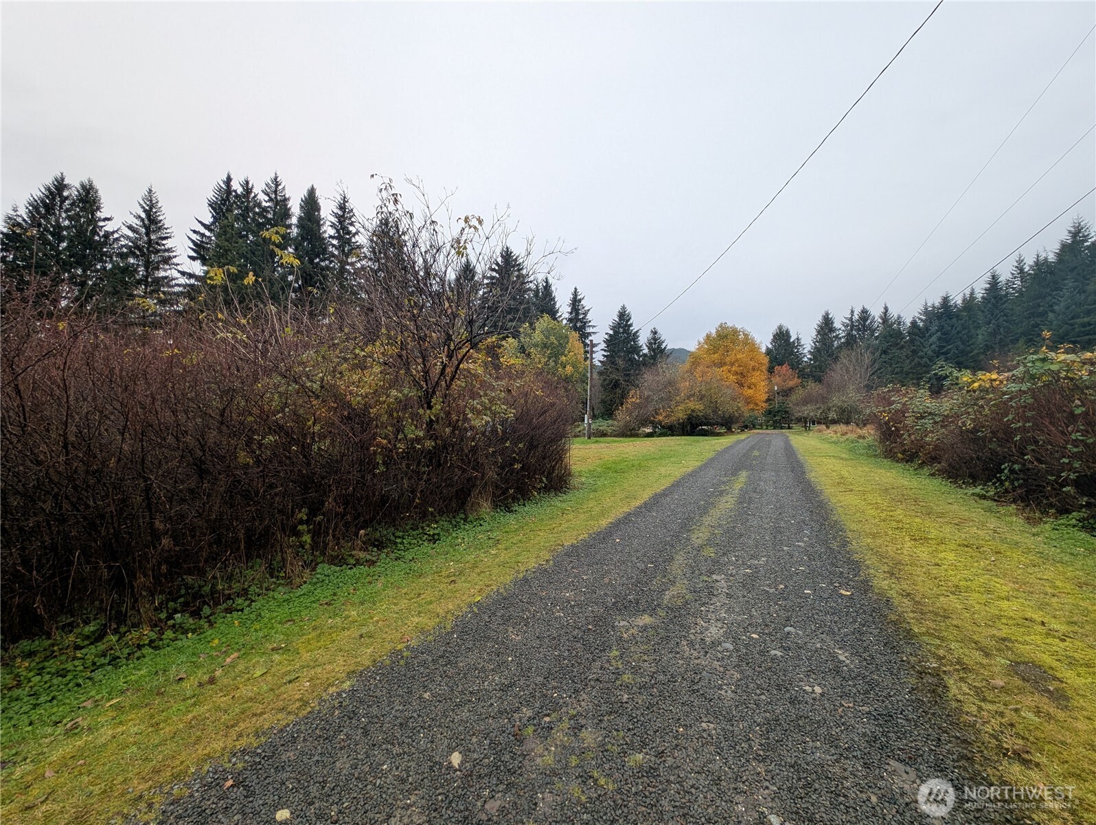 81 Barber Road Clallam Bay, WA 98326 - Photo 30 of 30 a view of a backyard