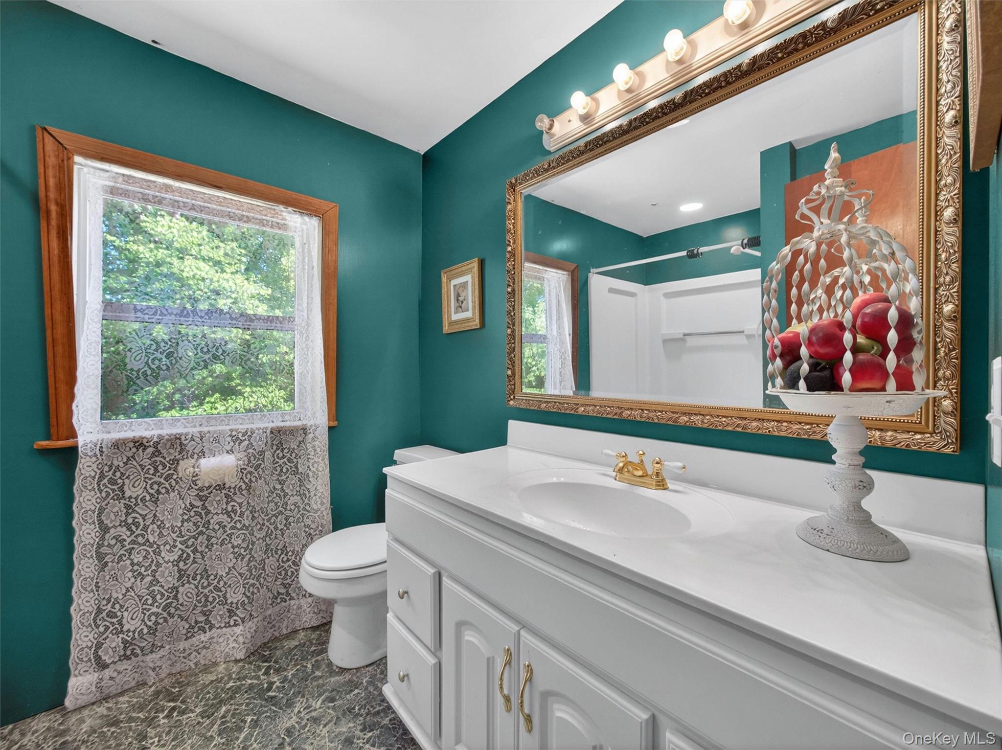 56 Oak Road New City, NY 10956 - Photo 21 of 30 a bathroom with a sink a toilet and a window