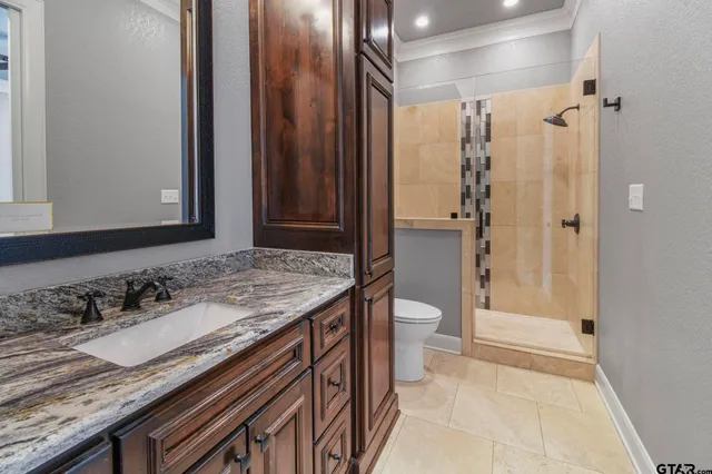 a bathroom with a granite countertop sink a toilet and shower